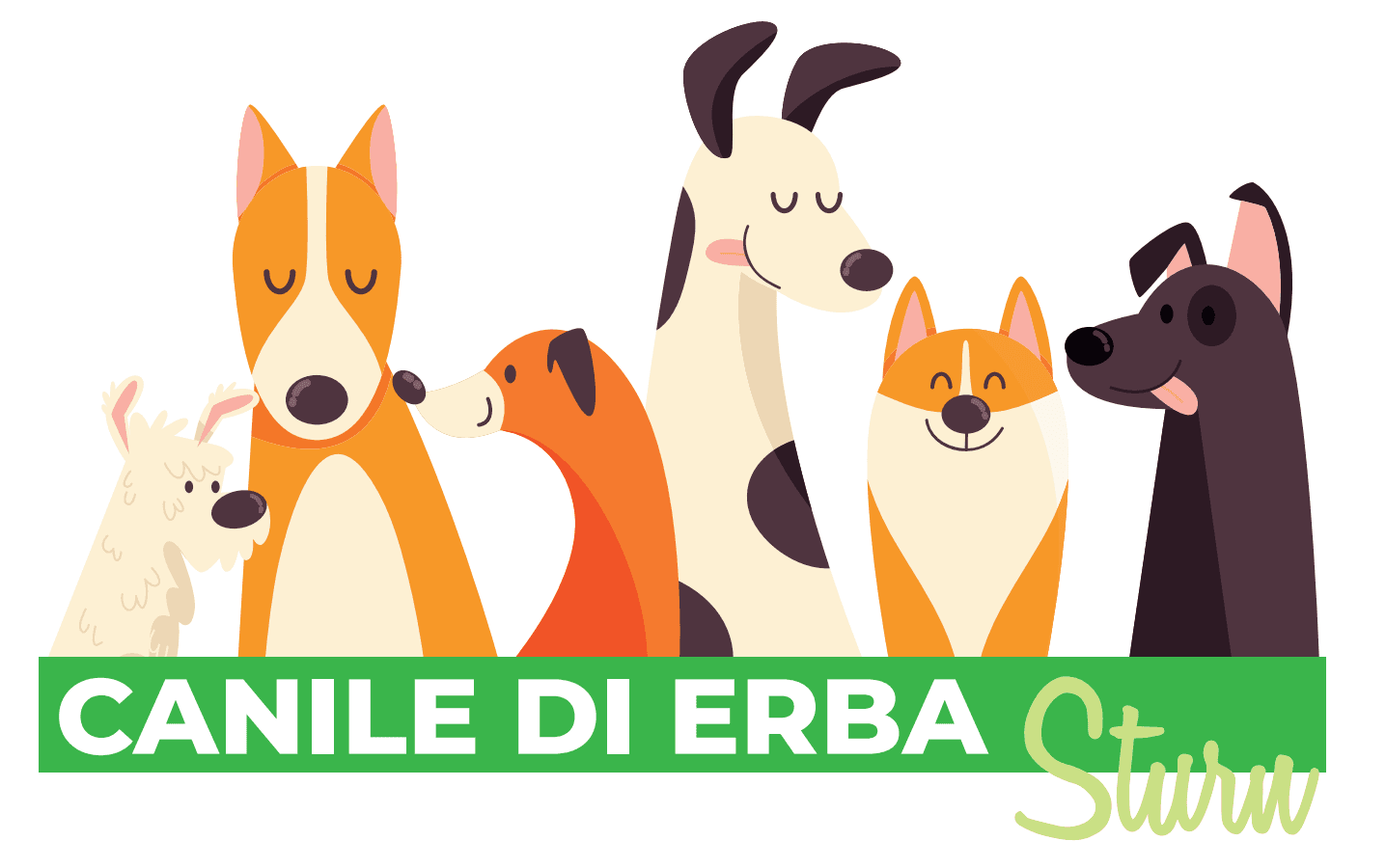 I cani del Canile Sturn di Erba